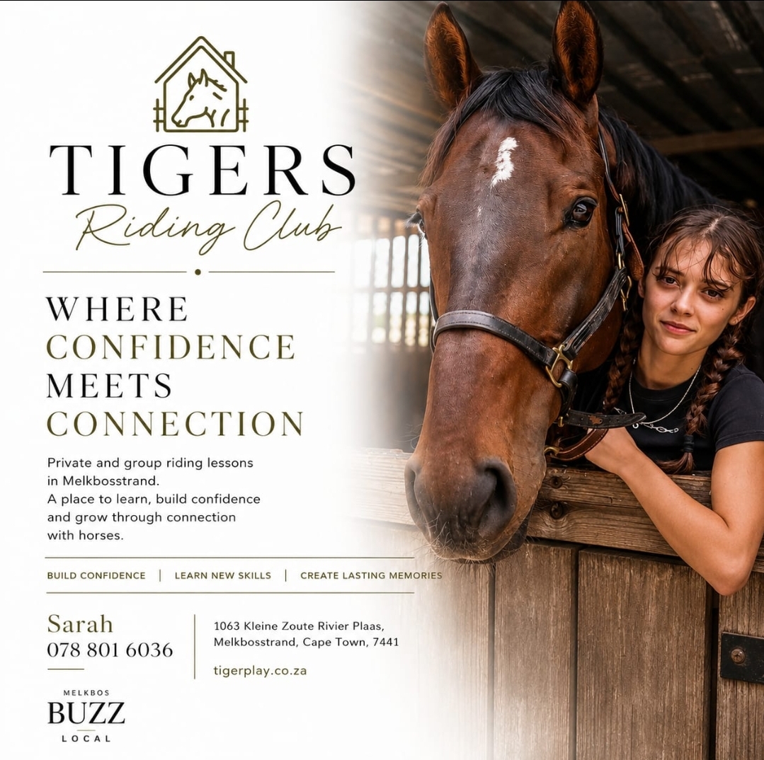 Tigers Riding Club supplied business artwork