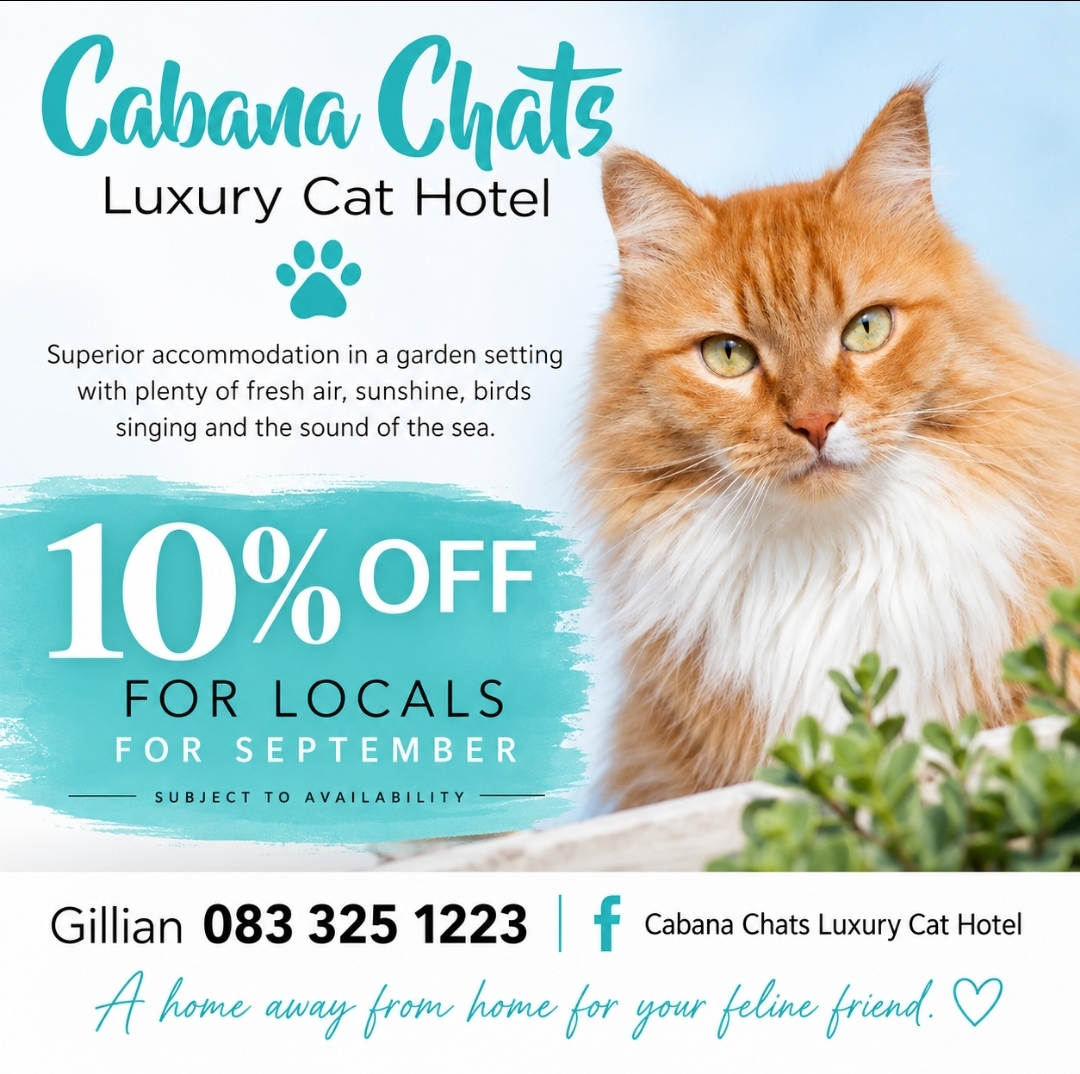 Cabana Chats Luxury Cat Hotel supplied artwork